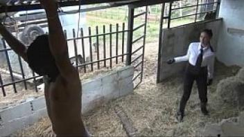 Latin cruel whipping in stables