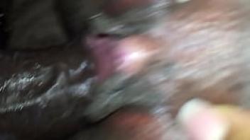 Shoving my dick in and out of her mature black pussy