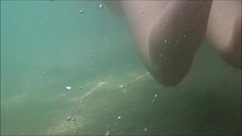 Diving in bombinhas sc south of brazil