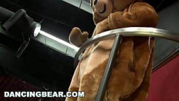 Dancing bear never ending parade of male stripper dick for thirsty sluts to slurp